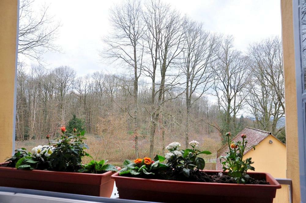 Au Jardin De Lisa Bed & Breakfast Cherreau Екстериор снимка